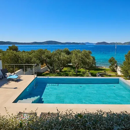 Hedera Estate, Hedera Xv