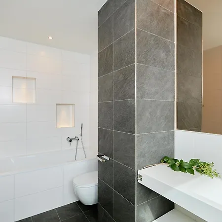 Hedera Estate, Hedera Xv